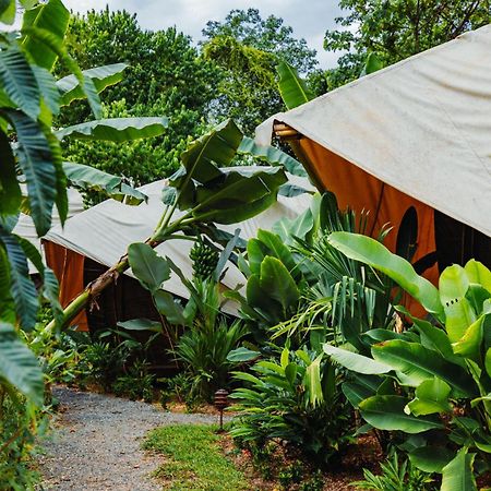 Jungle Gayborhood Hotel And Retreat Center San Luis (Osa, Puntarenas) Exterior foto