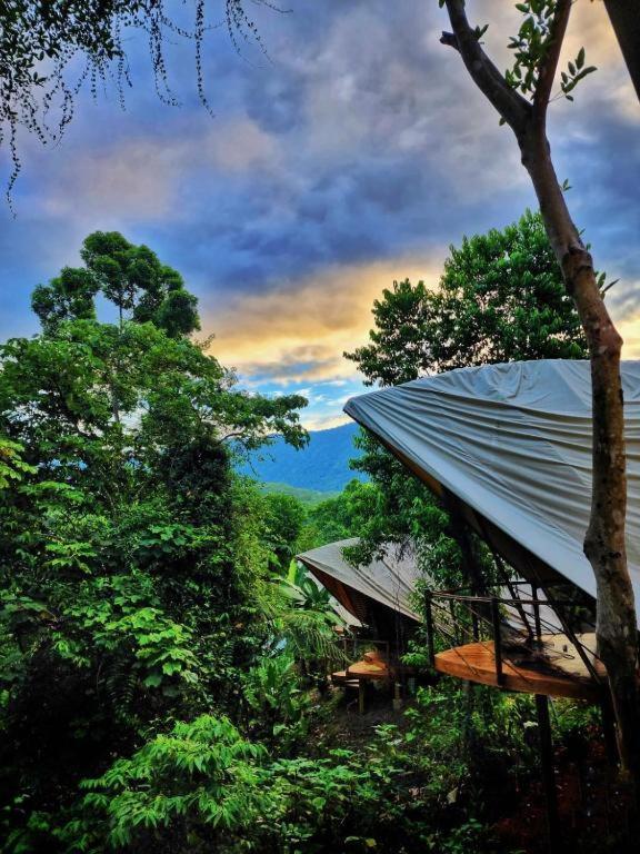 Jungle Gayborhood Hotel And Retreat Center San Luis (Osa, Puntarenas) Exterior foto