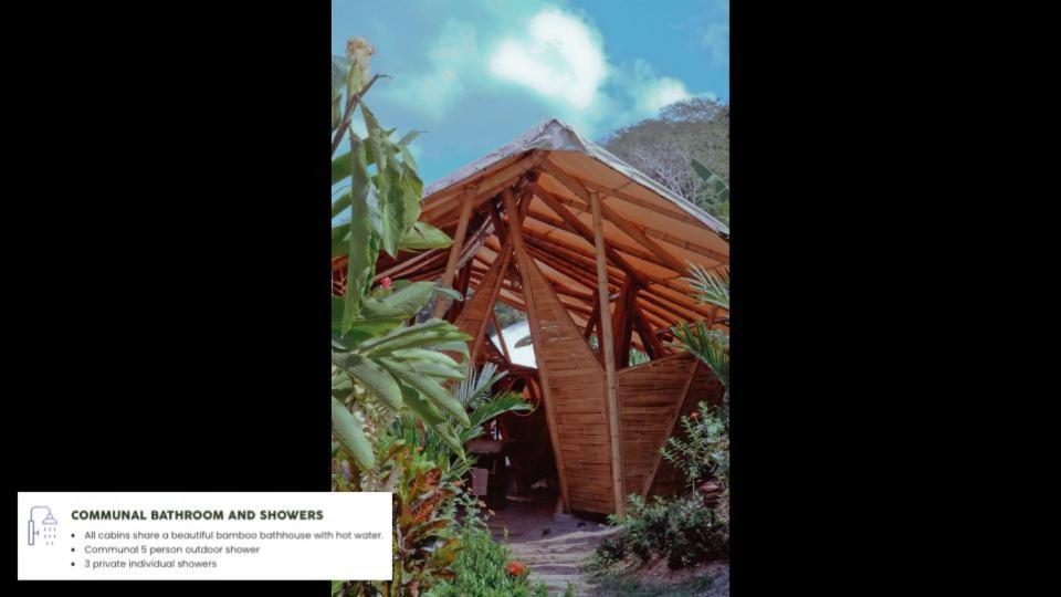 Jungle Gayborhood Hotel And Retreat Center San Luis (Osa, Puntarenas) Exterior foto