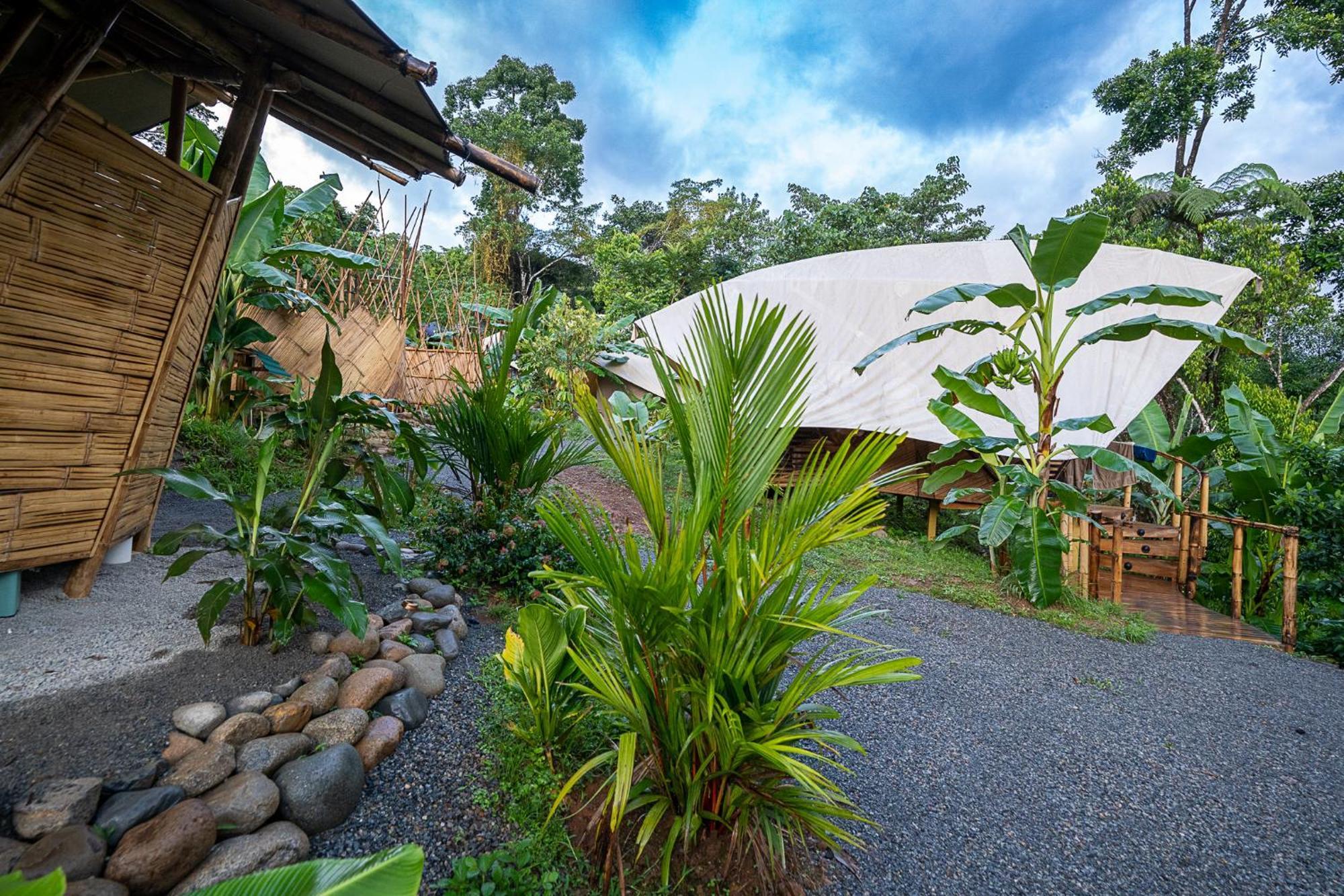 Jungle Gayborhood Hotel And Retreat Center San Luis (Osa, Puntarenas) Exterior foto