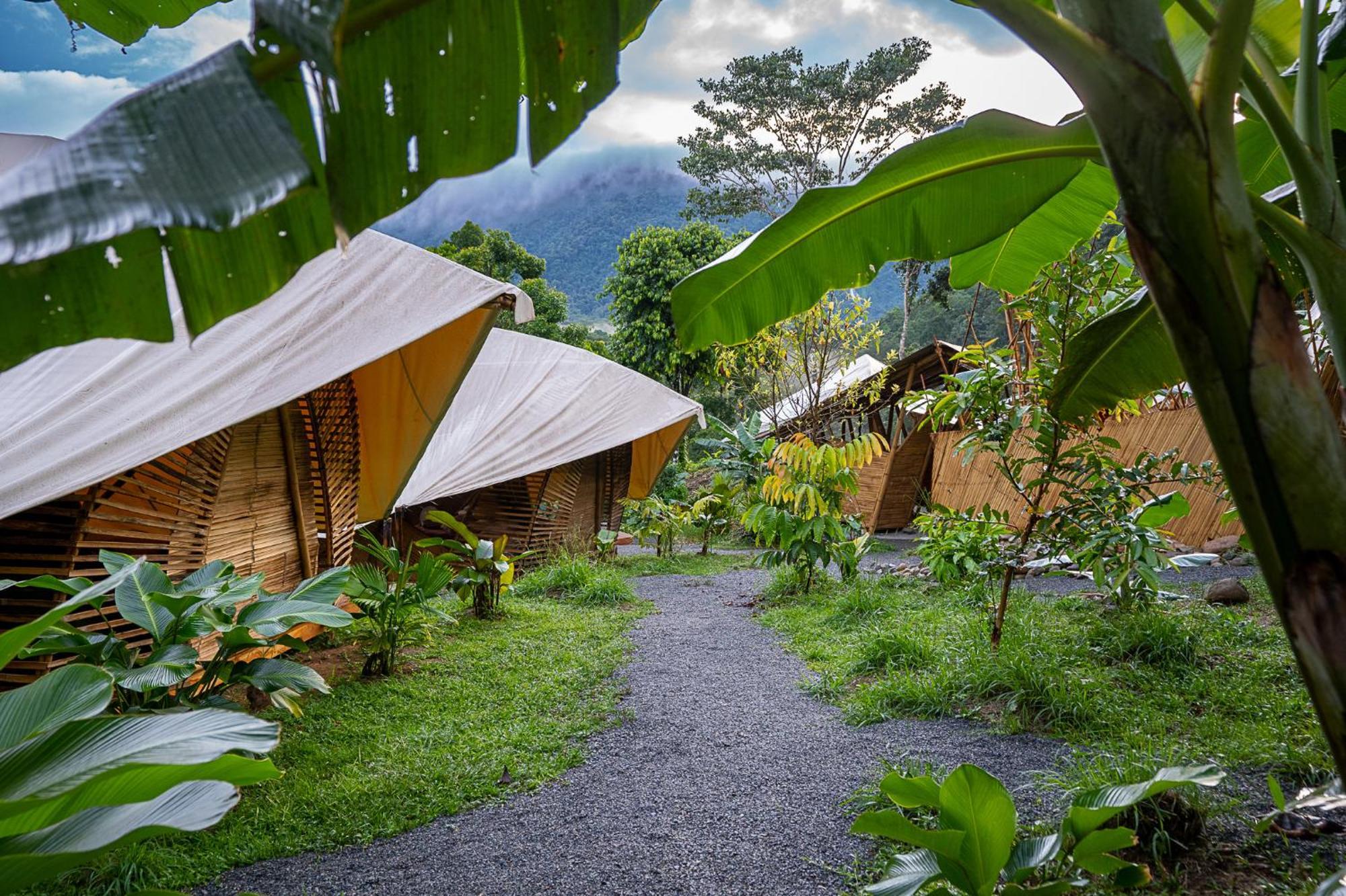Jungle Gayborhood Hotel And Retreat Center San Luis (Osa, Puntarenas) Exterior foto