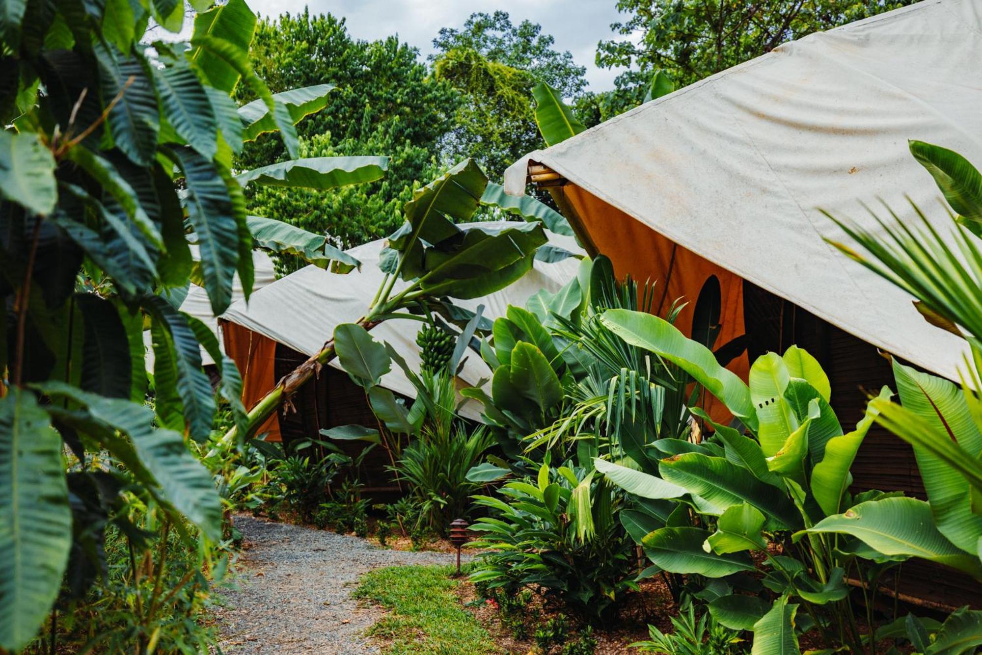 Jungle Gayborhood Hotel And Retreat Center San Luis (Osa, Puntarenas) Exterior foto